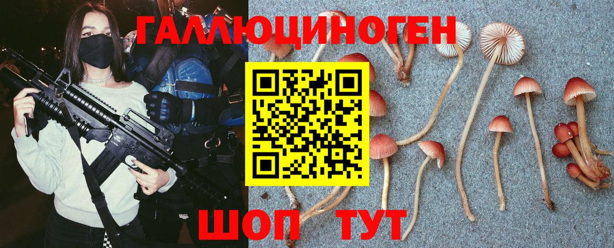 Галлюциногенные грибы мухоморы  Псилоцибиновые грибы MAGIC MUSHROOMS  Казань  Вход с VPN 